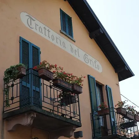 Il Grifo
