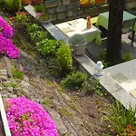 Il Grifo Bed & Breakfast Lenno